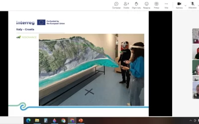 Održan prvi online sastanak upravnog odbora i partnera projekta RESONANCE