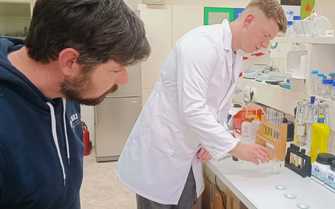 Mentorstvima stigli smo do zanimljivih i edukativnih STEM radionica